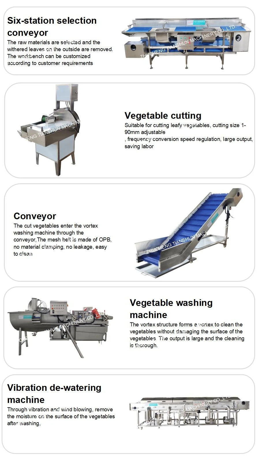 Salad Vegetable Cutting Slicer Drying Cleaning Bubble Washer Vortex Washing Processing Line Machine