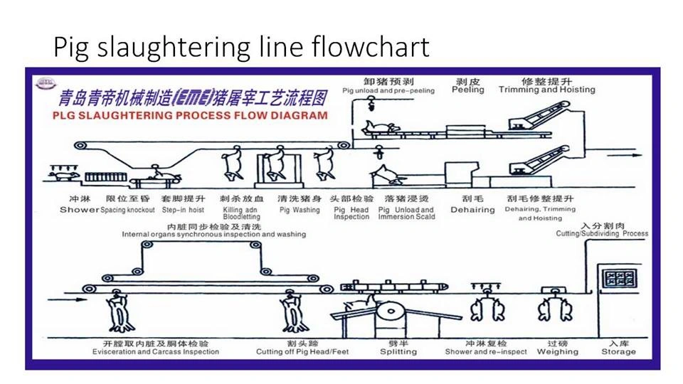 50-300 Pigs Agricultural Slaughtering Machine Pork Carcass Killing Dehairing Machine Meat Processing Machine for Slaughtering Machine